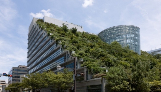 The architects of these houses proved that a garden can be created even on the roof The architects of these houses proved that a garden can be created even on the roof
