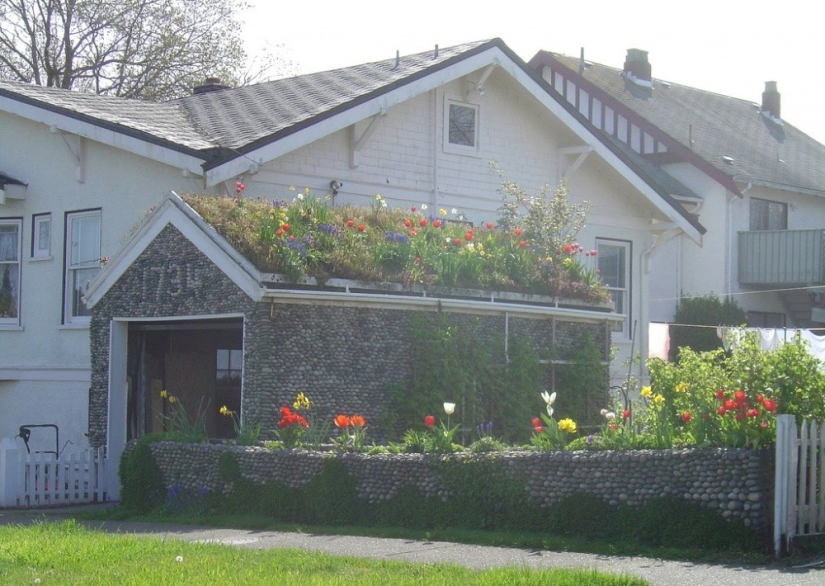 The architects of these houses proved that a garden can be created even on the roof The architects of these houses proved that a garden can be created even on the roof