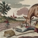 The Beast of Zhevodan: a fairy tale with an unhappy ending The Beast of Zhevodan: a fairy tale with an unhappy ending