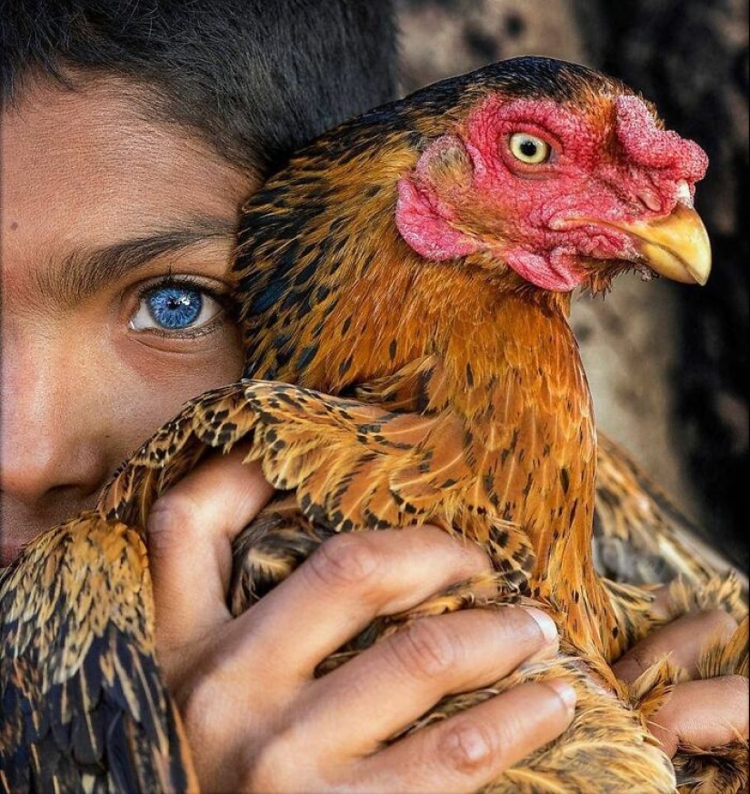 The Beauty Of Animals In 14 Photos By Guru Charan The Beauty Of Animals In 14 Photos By Guru Charan