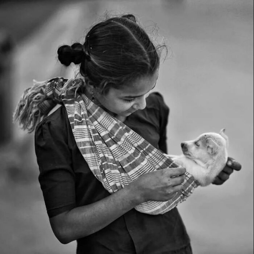 The Beauty Of Animals In 14 Photos By Guru Charan The Beauty Of Animals In 14 Photos By Guru Charan