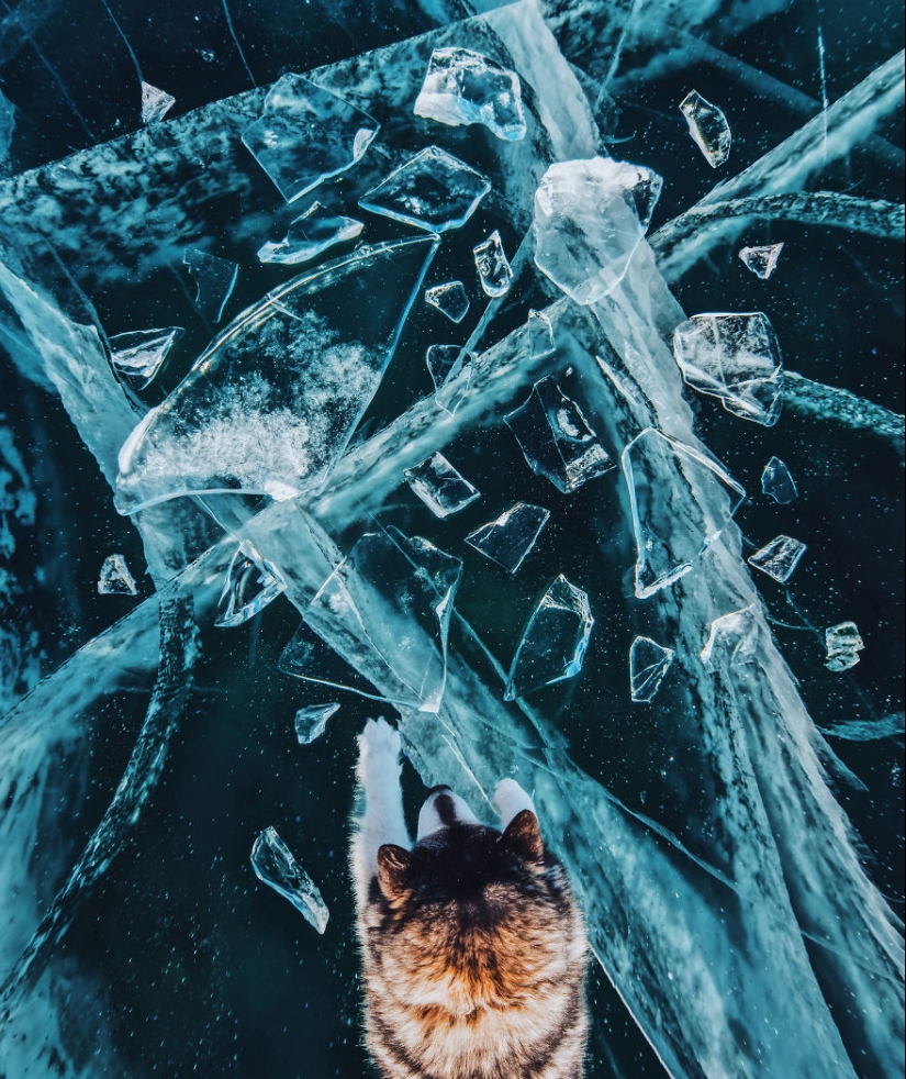 The beauty of cold Baikal: 30 incredible photos by Kristina Makeeva The beauty of cold Baikal: 30 incredible photos by Kristina Makeeva