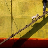 The Beauty Of Everyday Life: 10 Vibrant Photographs By Md Enamul Kabir The Beauty Of Everyday Life: 10 Vibrant Photographs By Md Enamul Kabir