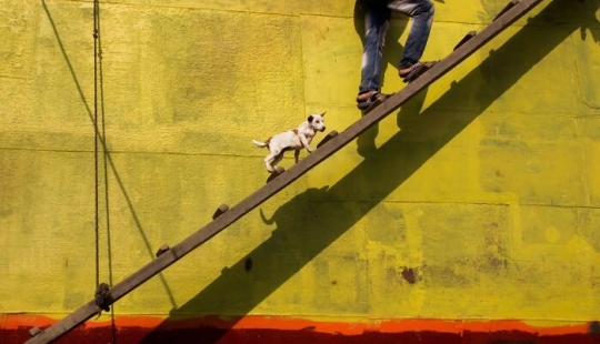 The Beauty Of Everyday Life: 10 Vibrant Photographs By Md Enamul Kabir The Beauty Of Everyday Life: 10 Vibrant Photographs By Md Enamul Kabir