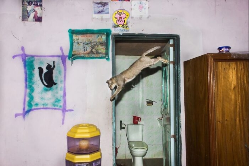 The Beauty Of Everyday Life: 10 Vibrant Photographs By Md Enamul Kabir The Beauty Of Everyday Life: 10 Vibrant Photographs By Md Enamul Kabir