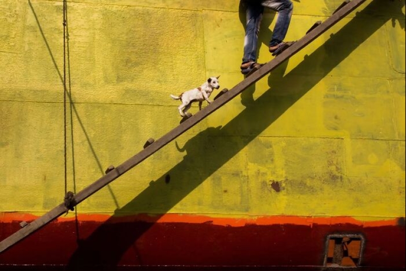 The Beauty Of Everyday Life: 10 Vibrant Photographs By Md Enamul Kabir The Beauty Of Everyday Life: 10 Vibrant Photographs By Md Enamul Kabir