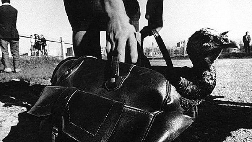 The best works of photographers of Soviet Lithuania The best works of photographers of Soviet Lithuania