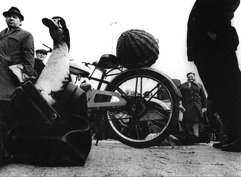 The best works of photographers of Soviet Lithuania The best works of photographers of Soviet Lithuania