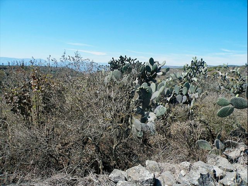 The bloody story of Magdalena Solis — prostitute, vampire and "goddess of the Aztecs" The bloody story of Magdalena Solis — prostitute, vampire and "goddess of the Aztecs"