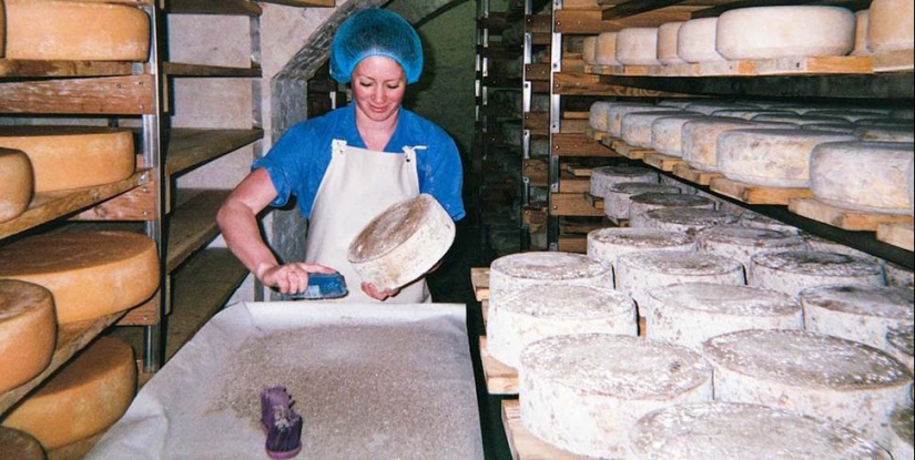 The Cheese Hole: A Day in the Life of a Brooklyn Cheesemaker The Cheese Hole: A Day in the Life of a Brooklyn Cheesemaker