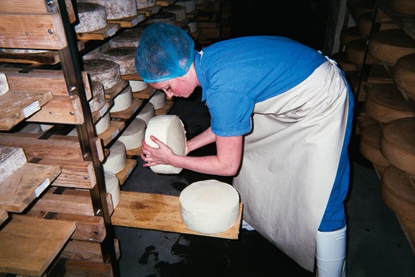 The Cheese Hole: A Day in the Life of a Brooklyn Cheesemaker The Cheese Hole: A Day in the Life of a Brooklyn Cheesemaker