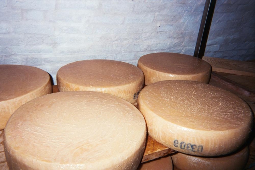 The Cheese Hole: A Day in the Life of a Brooklyn Cheesemaker The Cheese Hole: A Day in the Life of a Brooklyn Cheesemaker