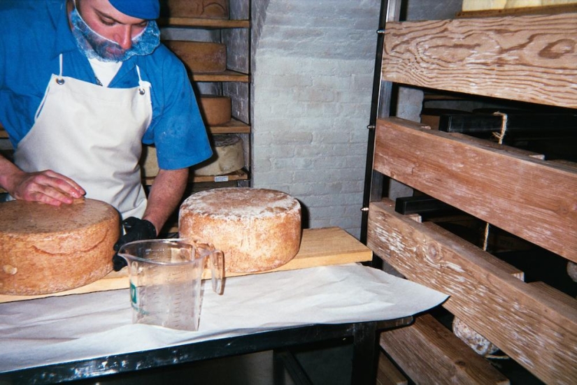 The Cheese Hole: A Day in the Life of a Brooklyn Cheesemaker The Cheese Hole: A Day in the Life of a Brooklyn Cheesemaker