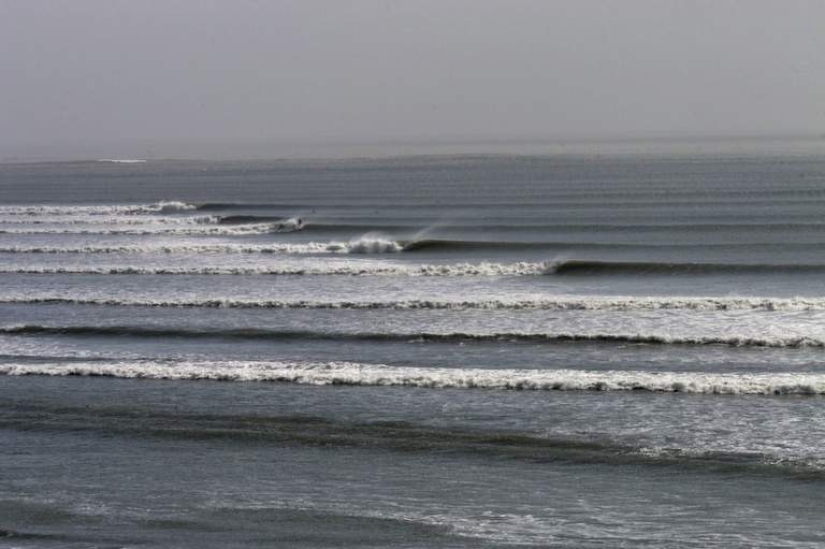 The Chicama wave is the longest wave in the world that is protected by law. The Chicama wave is the longest wave in the world that is protected by law.