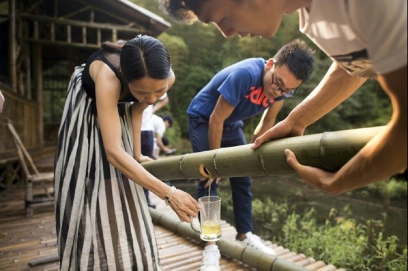 The Chinese have learned how to produce medicinal alcohol inside a live bamboo The Chinese have learned how to produce medicinal alcohol inside a live bamboo