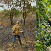 The couple spent 30 years restoring the reserve, replanting the rainforest The couple spent 30 years restoring the reserve, replanting the rainforest