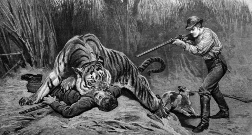The Demon of Champavata - the story of the most bloodthirsty man-eating tiger in history