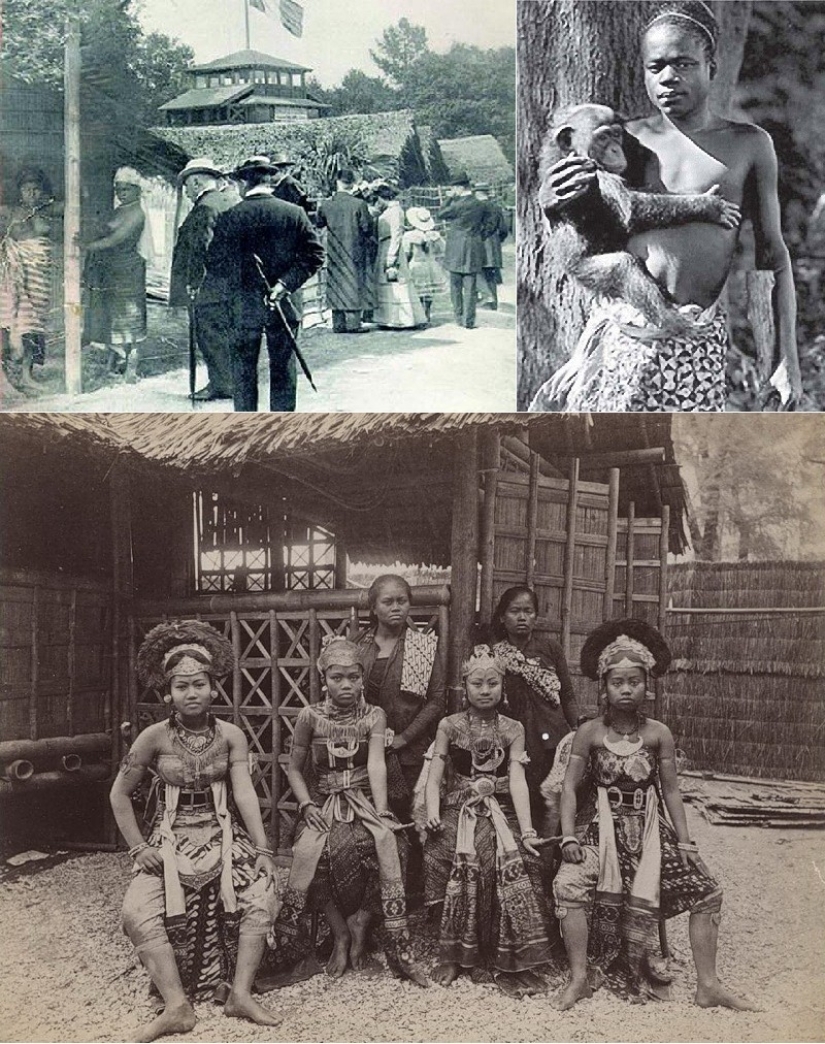 The era of human zoos