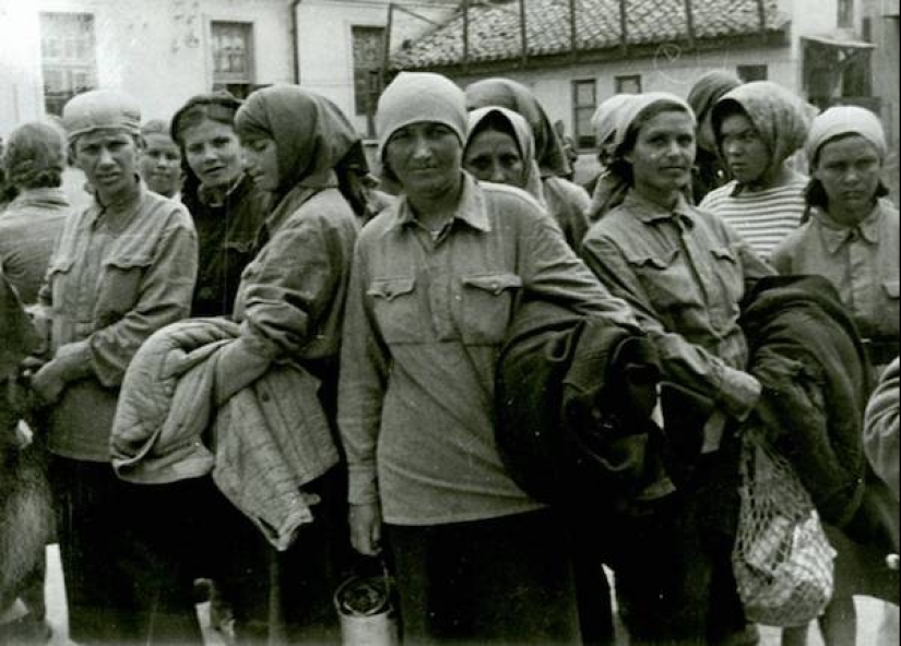 The fate of the last female thief in law Aglaya Demidova, who died because of love The fate of the last female thief in law Aglaya Demidova, who died because of love
