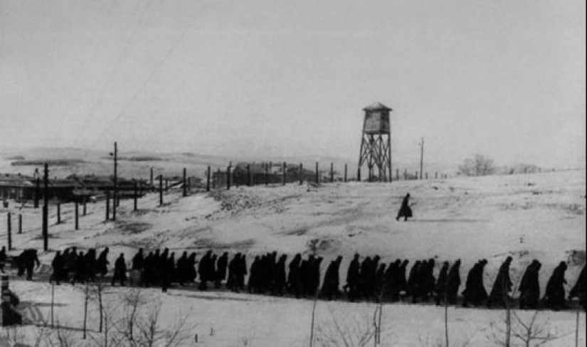 The fate of the last female thief in law Aglaya Demidova, who died because of love The fate of the last female thief in law Aglaya Demidova, who died because of love