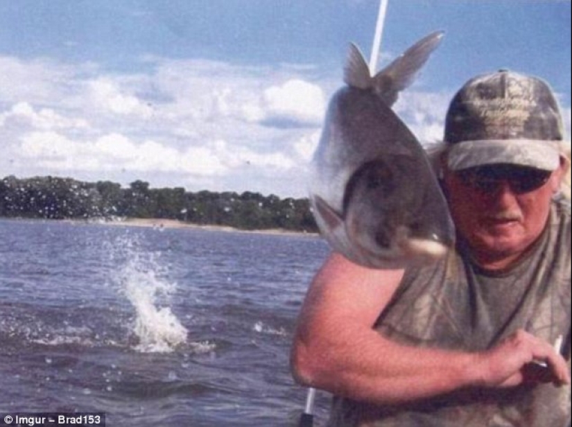 The funniest photobombs in vacation pictures