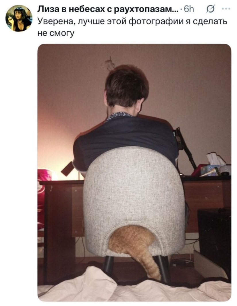 The funniest posts from Twitter users