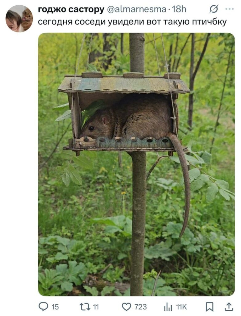 The funniest posts from Twitter users