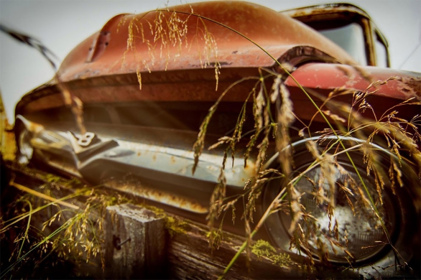 The German spent ten years searching all over Europe for cemeteries of old cars-from tractors to Mercedes