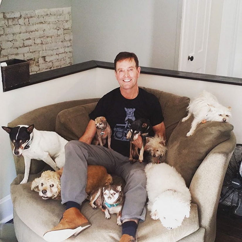The happiness of old dogs who were taken from the street