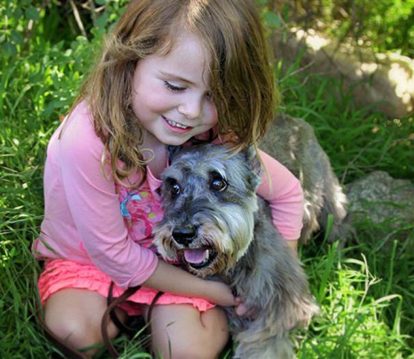 The happiness of old dogs who were taken from the street