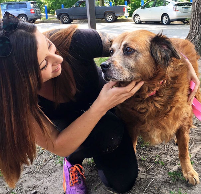 The happiness of old dogs who were taken from the street