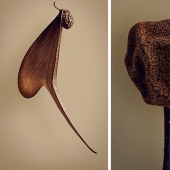 The hidden beauty of seeds and fruits by British photographer Levon Biss The hidden beauty of seeds and fruits by British photographer Levon Biss