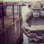 The history of one monument, or how the British executed a monkey for espionage