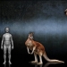The hoofed kangaroo procoptodon is an extinct giant of Australia The hoofed kangaroo procoptodon is an extinct giant of Australia