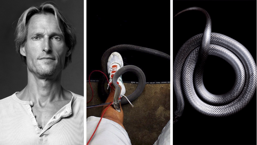 The incredible beauty of venomous snakes in Mark Light's photo project
