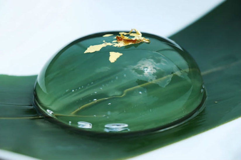 The Japanese make the coolest desserts in the world