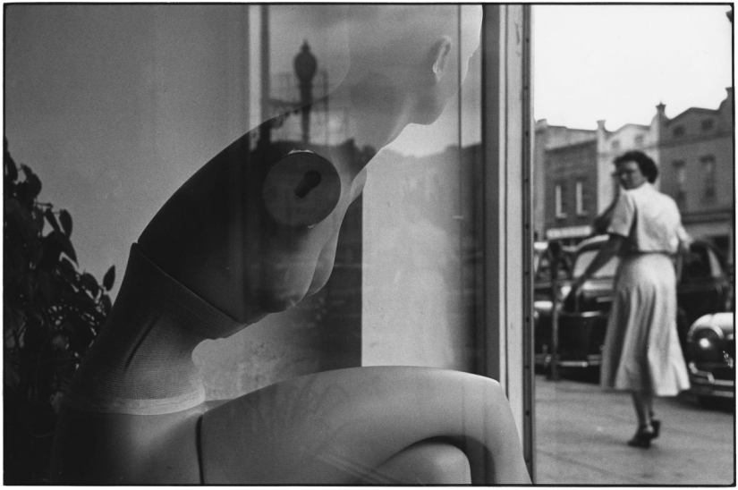 The journey on the road of life: expressive of classic photos of Elliott Erwitt The journey on the road of life: expressive of classic photos of Elliott Erwitt