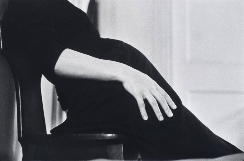 The journey on the road of life: expressive of classic photos of Elliott Erwitt The journey on the road of life: expressive of classic photos of Elliott Erwitt