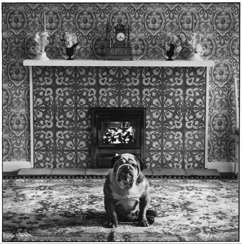 The journey on the road of life: expressive of classic photos of Elliott Erwitt The journey on the road of life: expressive of classic photos of Elliott Erwitt