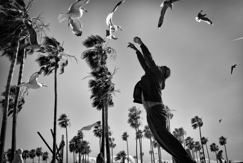 The last days of Bohemian paradise: crazy Venice beach in the lens of an Israeli photographer