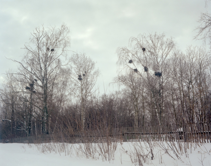 The Last Pagans of Europe, Residents of Mari El through the Eyes of a Japanese Photographer The Last Pagans of Europe, Residents of Mari El through the Eyes of a Japanese Photographer
