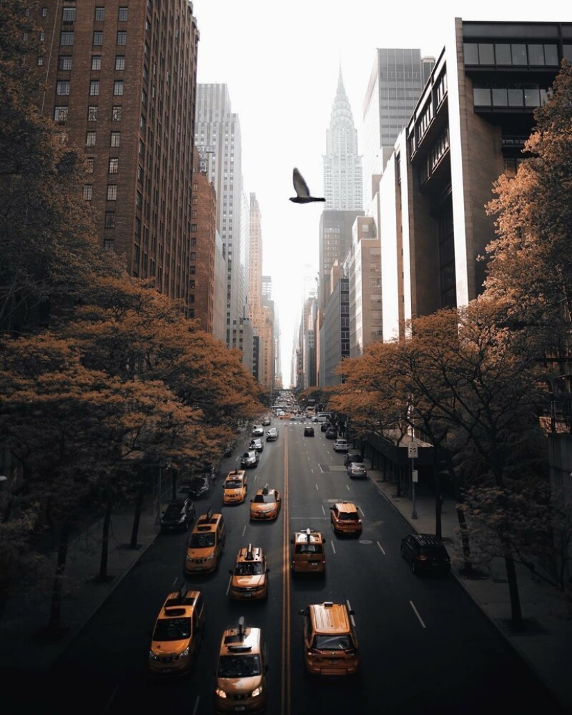 The lights of the Big Apple: an unusual look at new York The lights of the Big Apple: an unusual look at new York