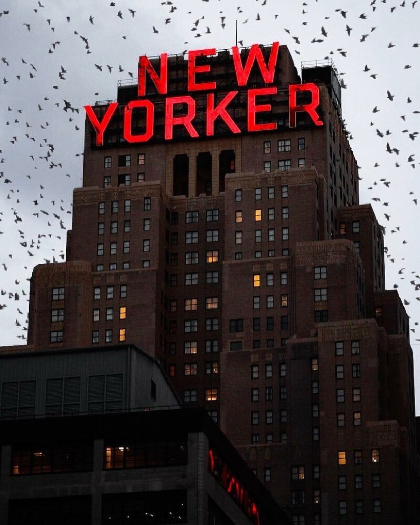 The lights of the Big Apple: an unusual look at new York The lights of the Big Apple: an unusual look at new York