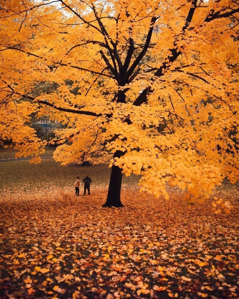 The lights of the Big Apple: an unusual look at new York The lights of the Big Apple: an unusual look at new York