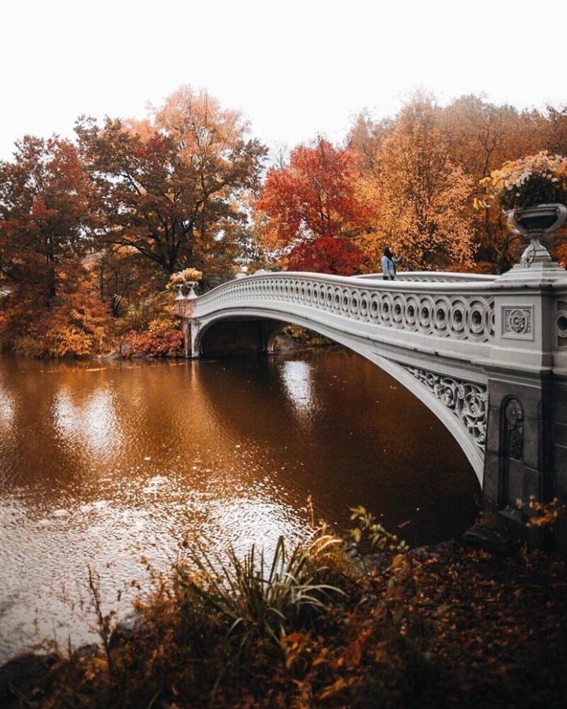 The lights of the Big Apple: an unusual look at new York The lights of the Big Apple: an unusual look at new York
