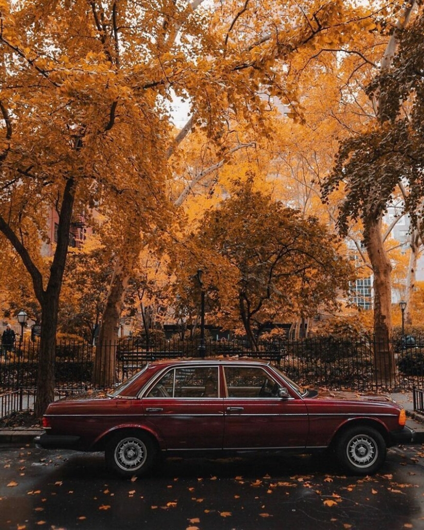 The lights of the Big Apple: an unusual look at new York The lights of the Big Apple: an unusual look at new York