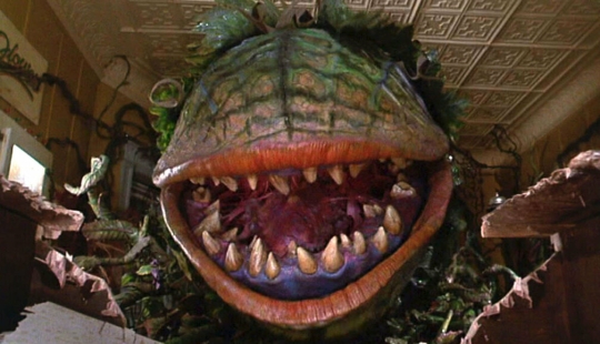 The Man-Eating Trees of Madagascar: Fact or Myth? The Man-Eating Trees of Madagascar: Fact or Myth?