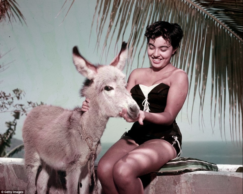 The Mexican Riviera of the 1950s, when Acapulco was not yet the fiefdom of drug dealers