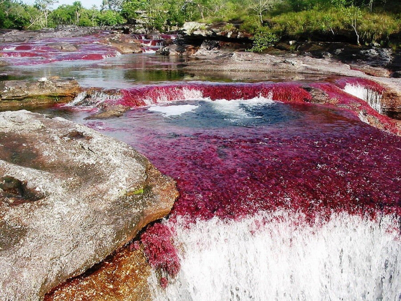 The most beautiful river in the world The most beautiful river in the world