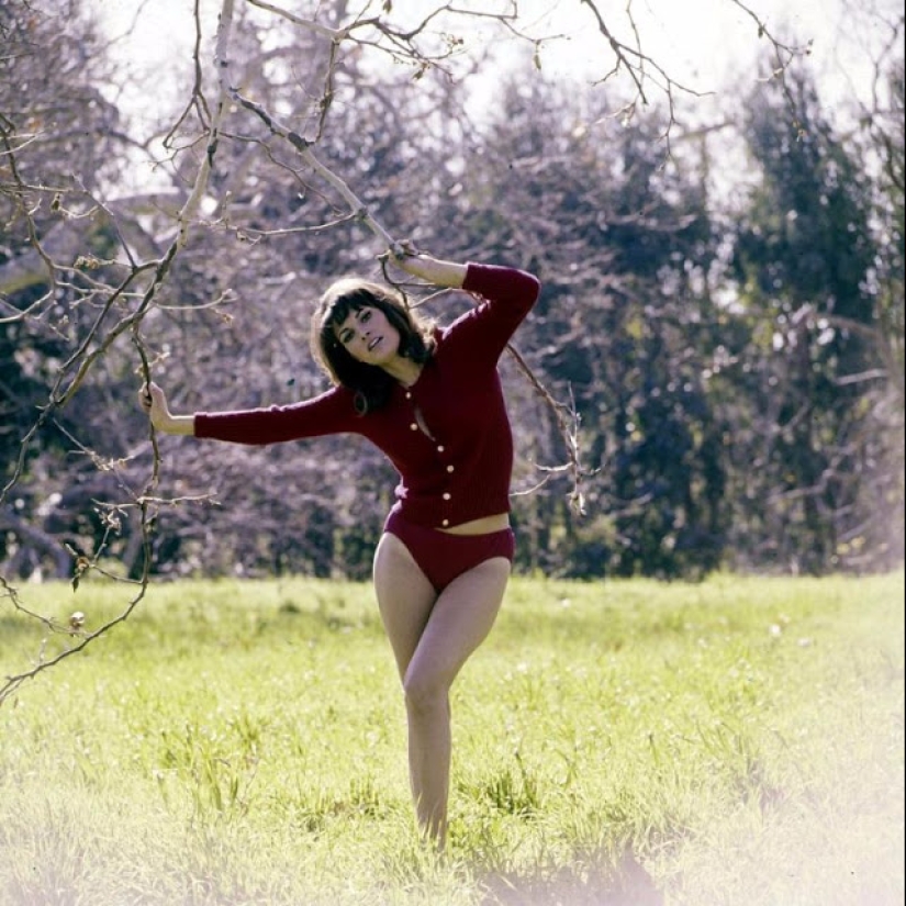 "The most desirable woman of the 1970s" Raquel Welch: an actress who became famous thanks to a bikini "The most desirable woman of the 1970s" Raquel Welch: an actress who became famous thanks to a bikini